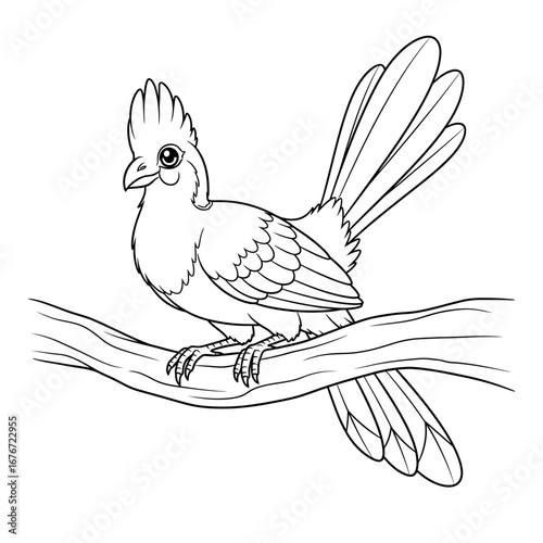 Vibrant Anime Style African Turaco Lourie Coloring Page for Kids Detailed Bird Art