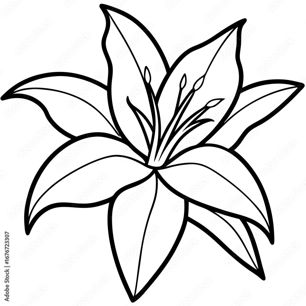 Obraz premium Lily line art vector