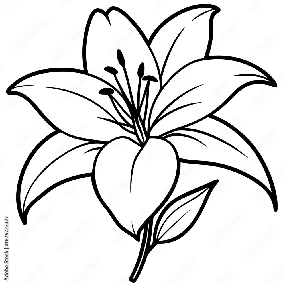 Obraz premium Lily line art vector