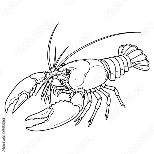 Charming Anime Style African Crayfish Coloring Page for Kids Aquatic Life Line Art