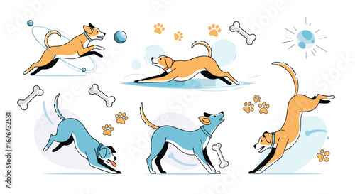Energetic pups enjoying playtime outdoors with toys and paw prints