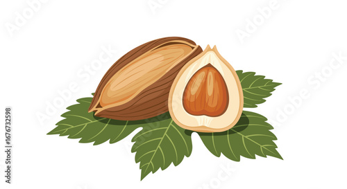 Whole and halved hazelnut with green leaves delicious healthy nut ingredient for cuisine and baking