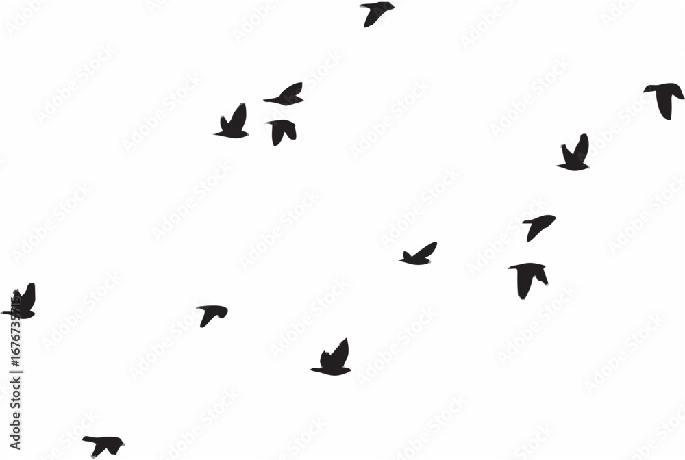 Naklejka premium Pigeons Flying Silhouettes.eps