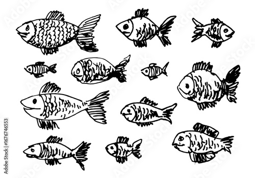 Fish set hand drawn line art sketch vector illustration isolated