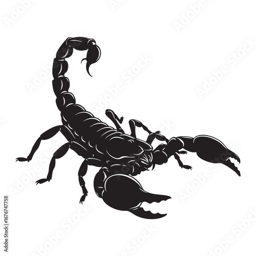 Aggressive Scorpion Silhouette - Dangerous Insect Vector