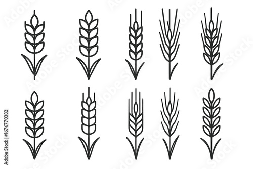 Set of wheat icons: minimalist linear designs of ears of wheat