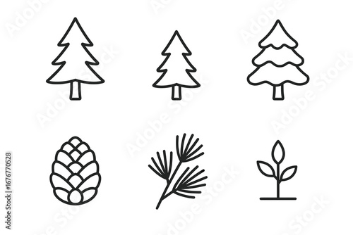 Outline icons of conifer trees pinecone branch and seedling