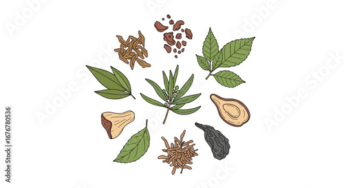 Collection of natural herbs and spices arranged in a circular pattern for culinary and medicinal use