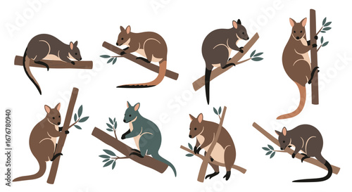 Collection of wallabies climbing tropical tree branches and foliage