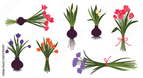 Collection of spring flower bouquets and bulbs for garden planting