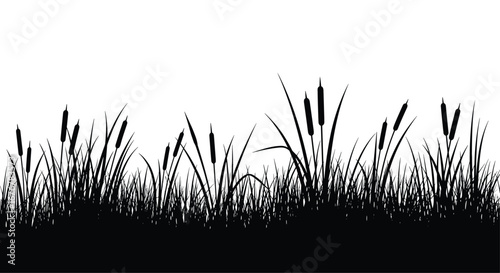Dark silhouette of cattails and reeds growing tall against a bright white sky