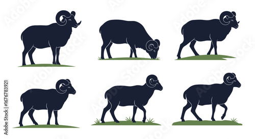 Collection of dark silhouettes featuring various rams and ewes standing grazing and walking on green grass