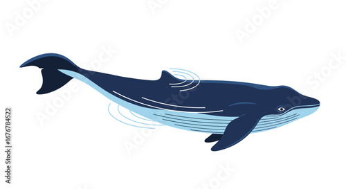 Majestic blue whale gracefully swimming through vast ocean waters underwater marine life