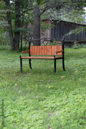 three hundred year old park with bench, green meadow, meadow, grass