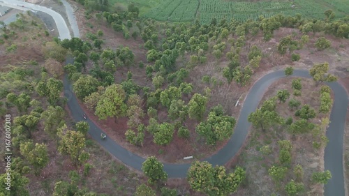 Winding Paths Through Lush Greenery: Aerial View of Scenic Nature Trails and Agriculture
