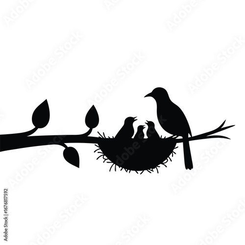 Black silhouette of birds in a nest on a branch baby birds