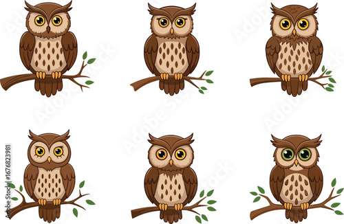 Cute owl cartoon illustrations, woodland bird vector design, adorable forest animal artwork, perched night creature clipart collection