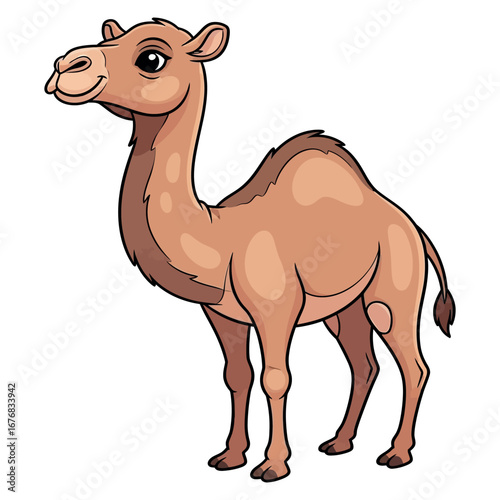 Cute cartoon dromedary camel standing portrait facing left with gentle smile on vector