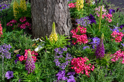 Wallpaper Mural Colorful Spring Flowers Blooming Around Tree Trunk in Garden Torontodigital.ca