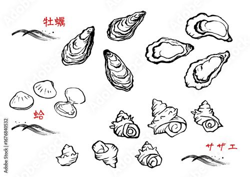 貝類セット　線画