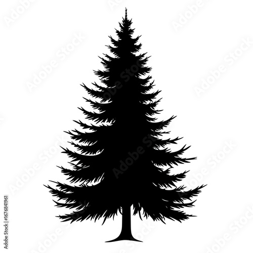 Black silhouette of a tall pine tree with layered branches and natural evergreen foliage isolated on white background in minimalist flat vector style