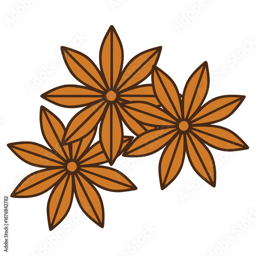 star anise spice flat color vector illustration template design