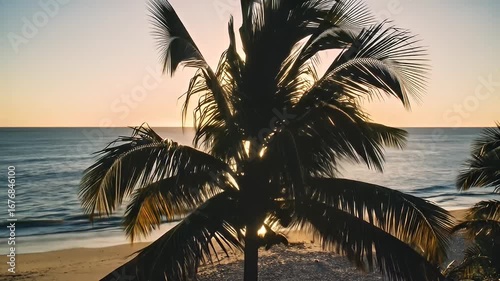 Wallpaper Mural Palm tree silhouette on a beach with ocean and sun shining through the leaves Torontodigital.ca