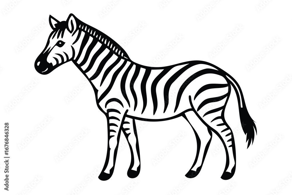 Obraz premium zebra vector illustration