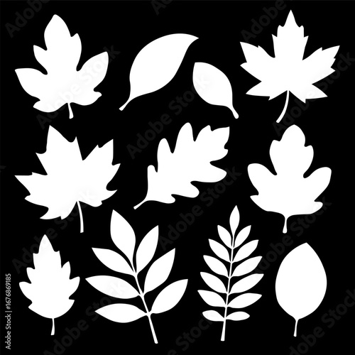 A set of autumn leaves of different shapes on a black background. A collection of white silhouettes of autumn leaves from different trees such as oak, maple, chestnut. Vector EPS 10.