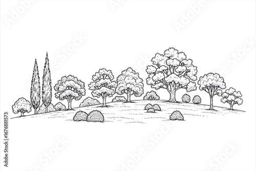 Trees and rolling hills landscape sketch