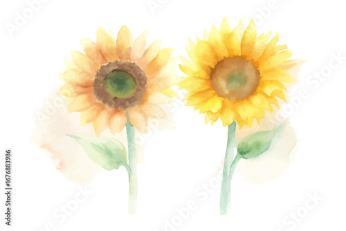 Watercolor sunflower bouquets
