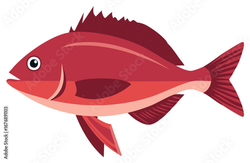 Stylized Red Fish Illustration with Fins and Tail