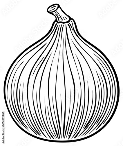 Whole fig fruit in a vintage black and white line art drawing style