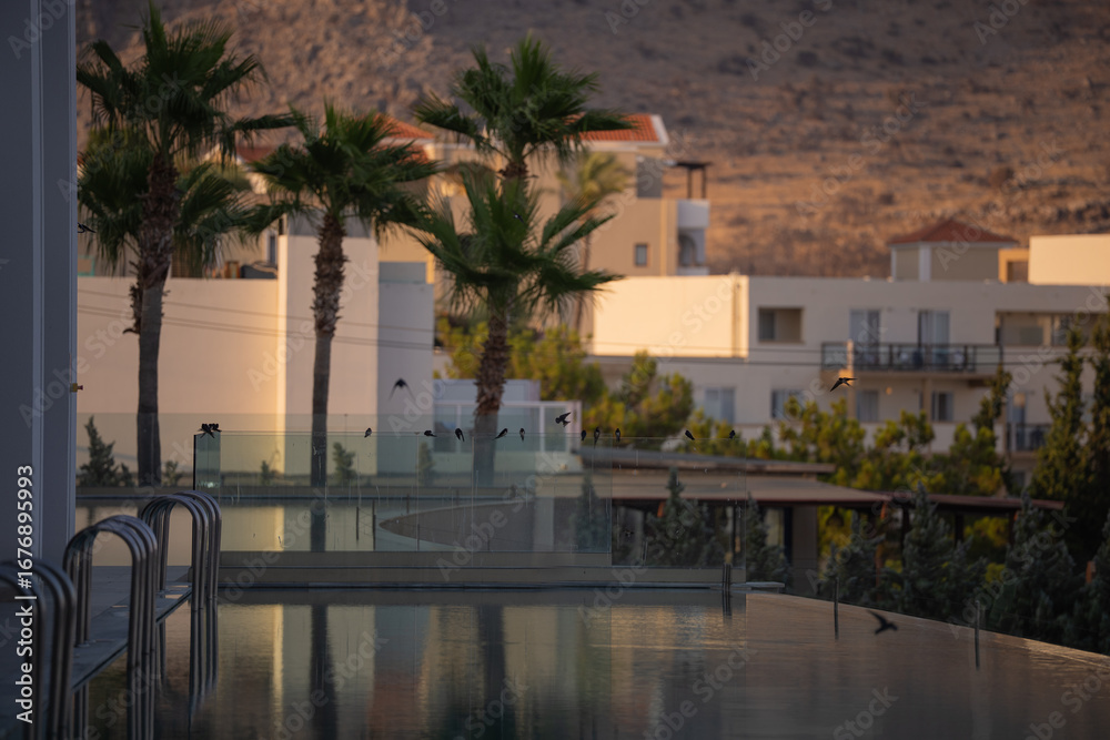 Fototapeta premium Luxurious resort pool with palm trees and sunset mountain views and swallows on the railing