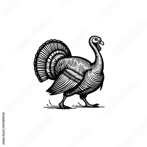 Black and white woodcut style turkey walking bird fowl 1