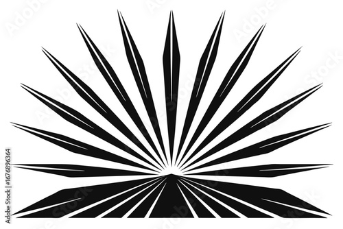 Black and White Fan Palm Frond Illustration with Sharp Edges and Lines