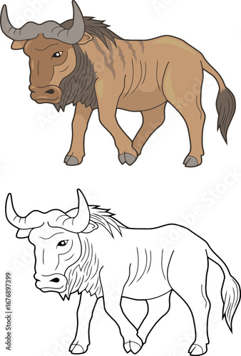 wildebeest, coloring page for kids