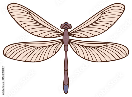 Stylized Dragonfly Illustration with Large Wings and Striped Details