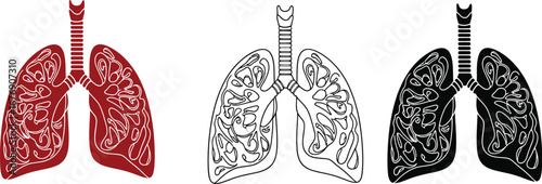 Lungs anatomy illustration healthy respiratory system diagram