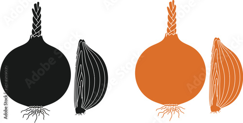 Onion vegetable bulb vector illustration healthy food item
