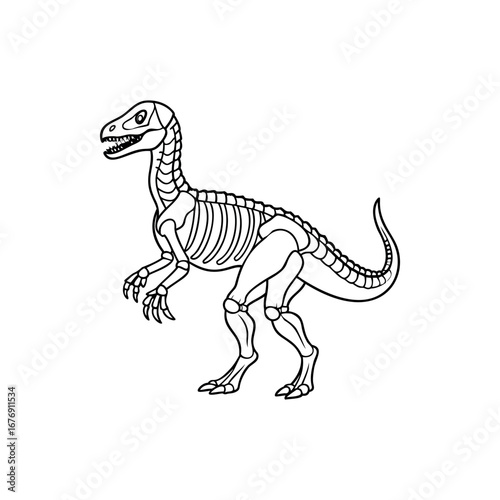 A captivating line drawing of a velociraptor skeleton against a white background silhouette Vector 