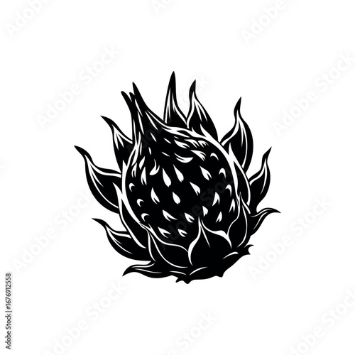 Single black and white dragon fruit illustration featuring intricate detail silhouette Vector 