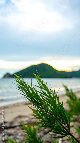 Coastal greenery closeup