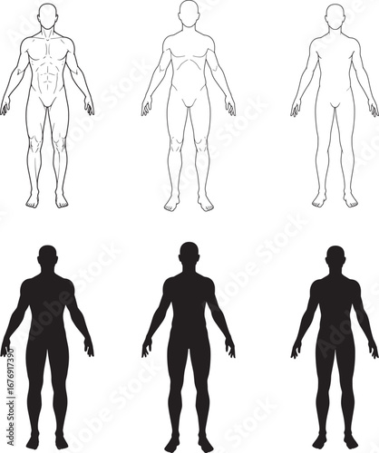 Human Body Types Outlines and Silhouettes for Medical or Educational Use