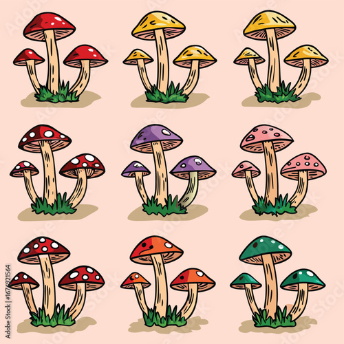 Collection Of Various Types Of Mushrooms