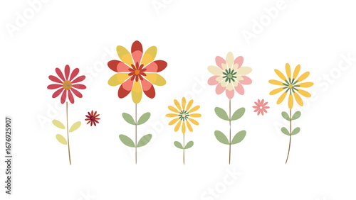 Colorful flowers with green leaves floral nature