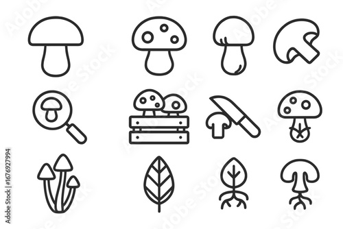 Mushroom and Fungi Outline Icon Set for Web, App, and Print. Editable Stroke Vector Mushrooms, Magnifying Glass, Roots, Leaves, Knife, Basket. Minimal Style Transparent Background