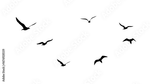 Flock of Birds in Flight flying silhouette
