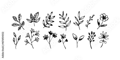 Rough ink brush flower petals organic