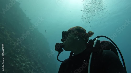 A diver swims over a coral reef. Active recreation under water.